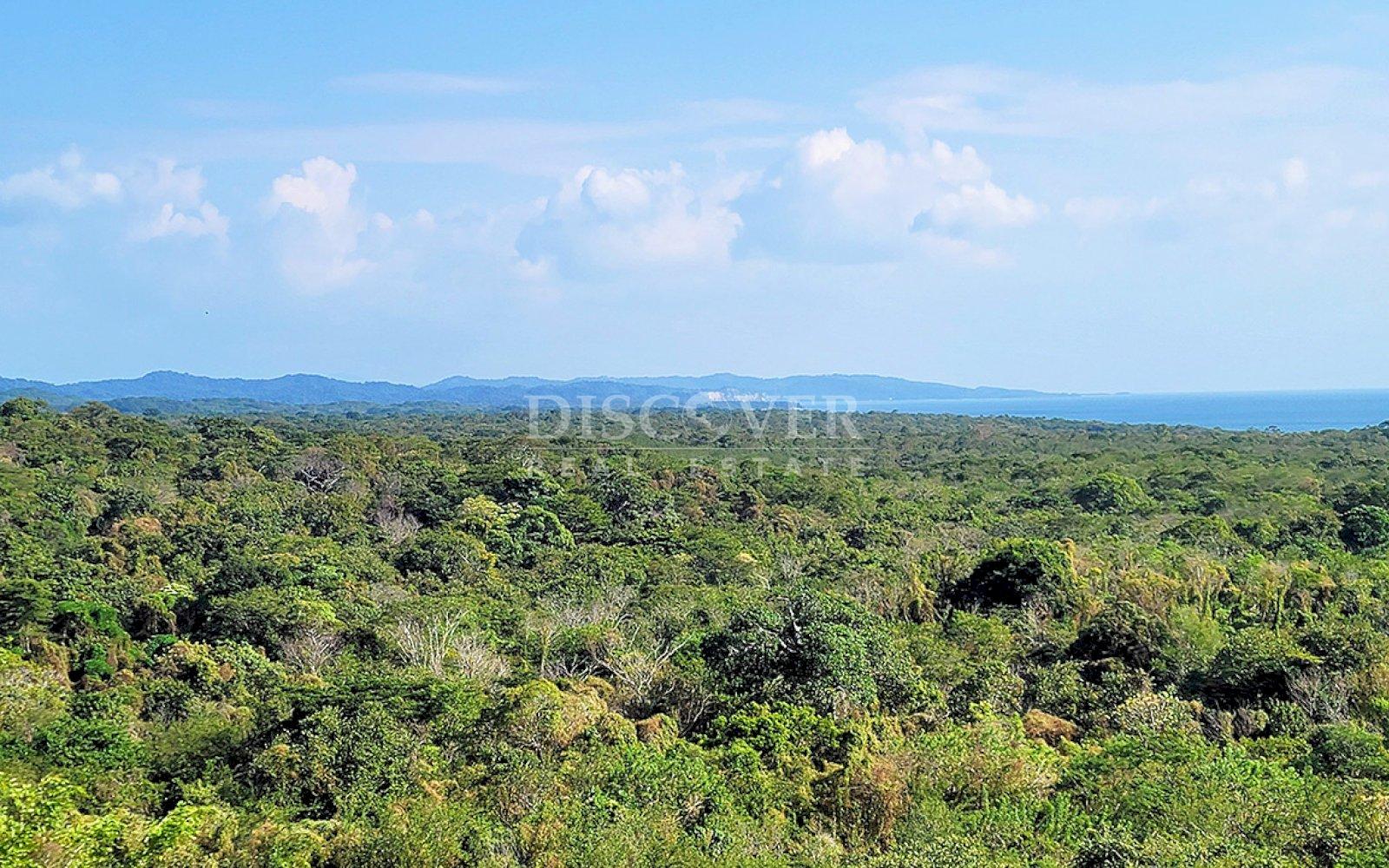 https://images.discovernica.com/propiedad/1600/ID13954_3_.jpg