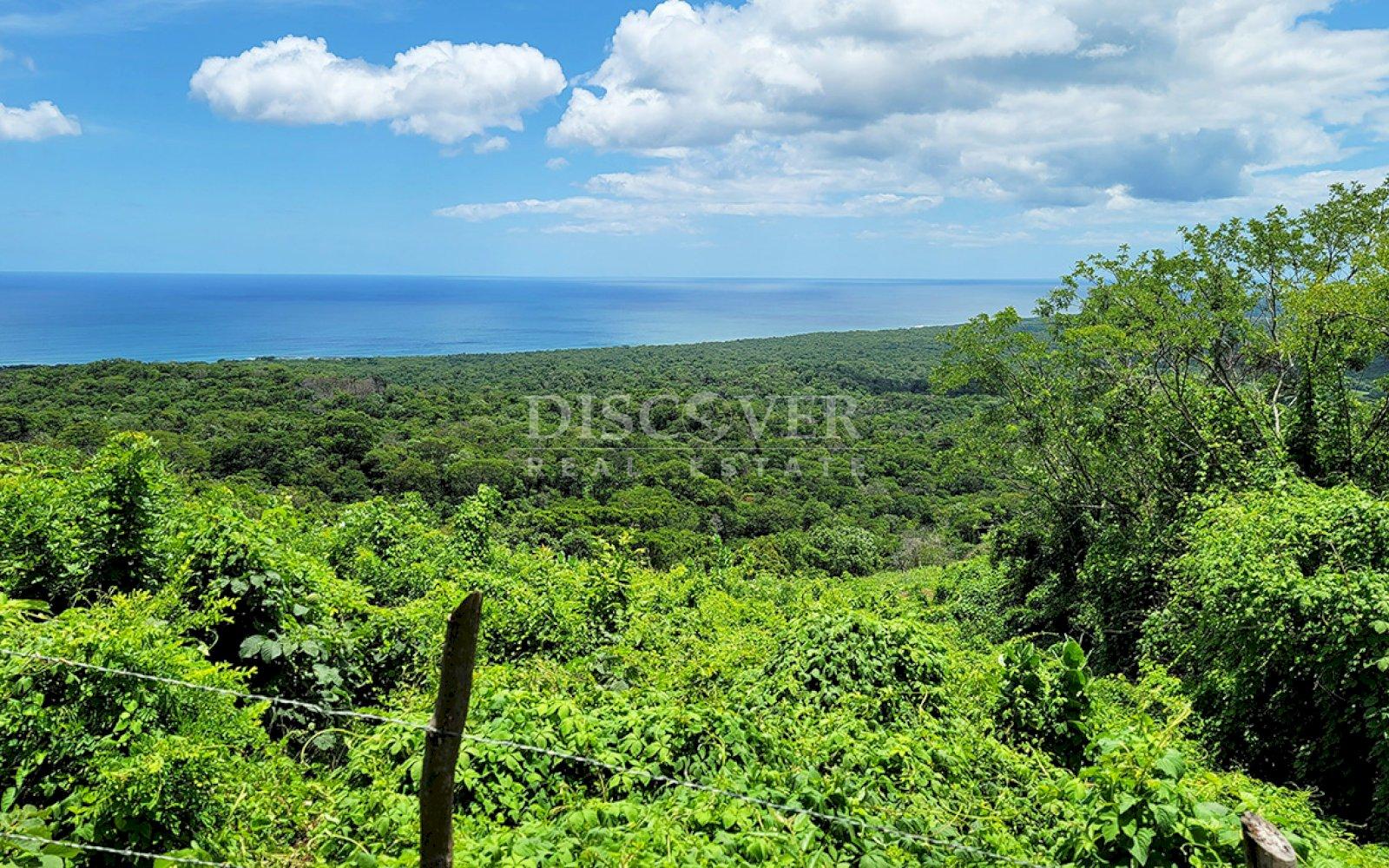 https://images.discovernica.com/propiedad/1600/ID13954_6_.jpg