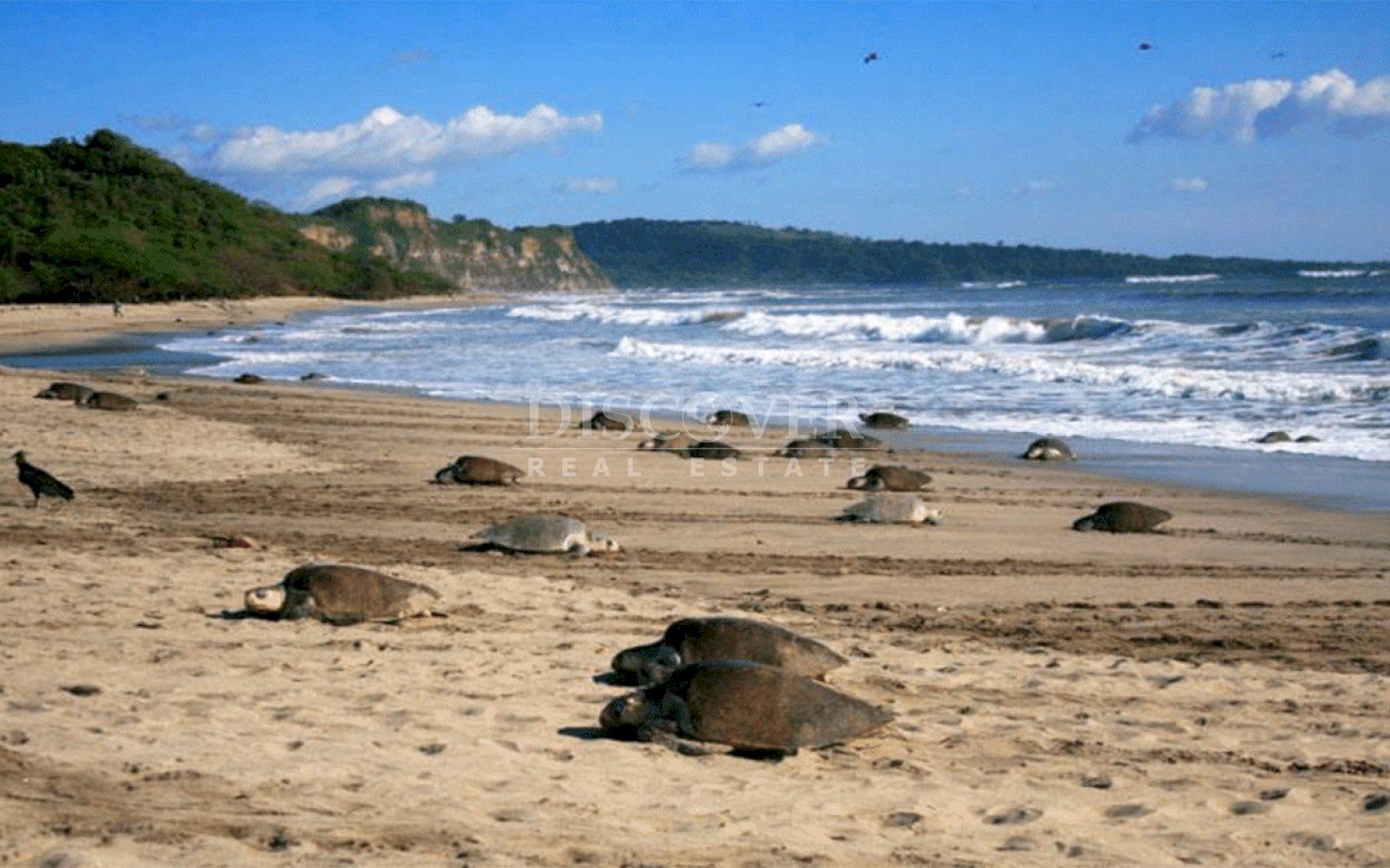  Beach property for sale - Chacocente 