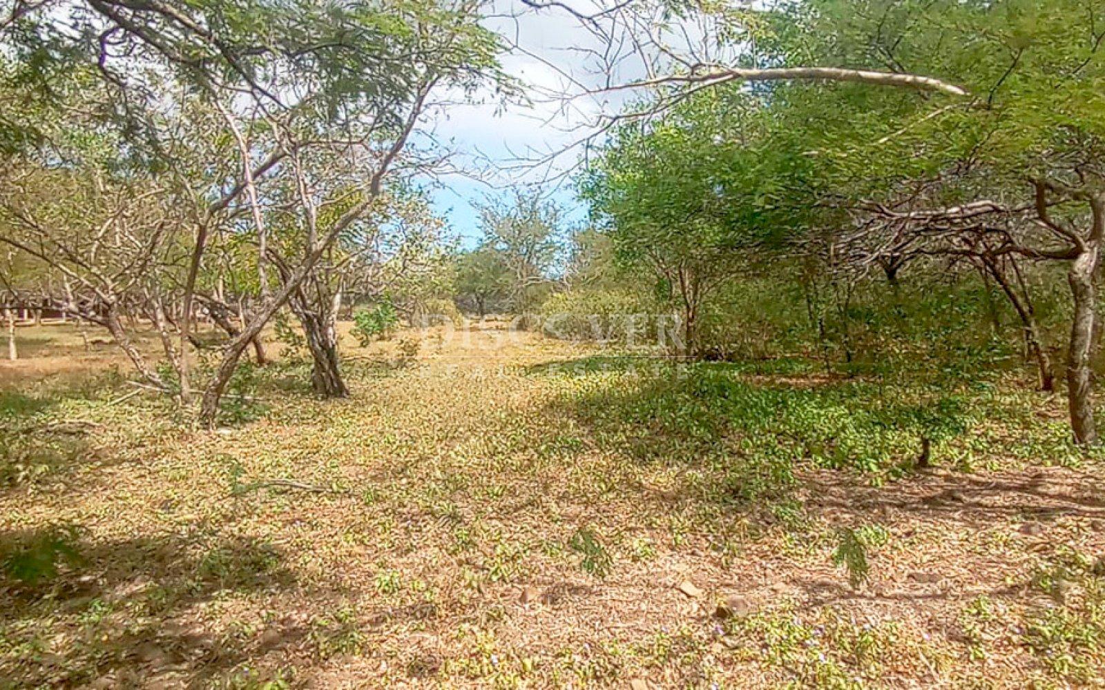 Imagen 4 de la galería