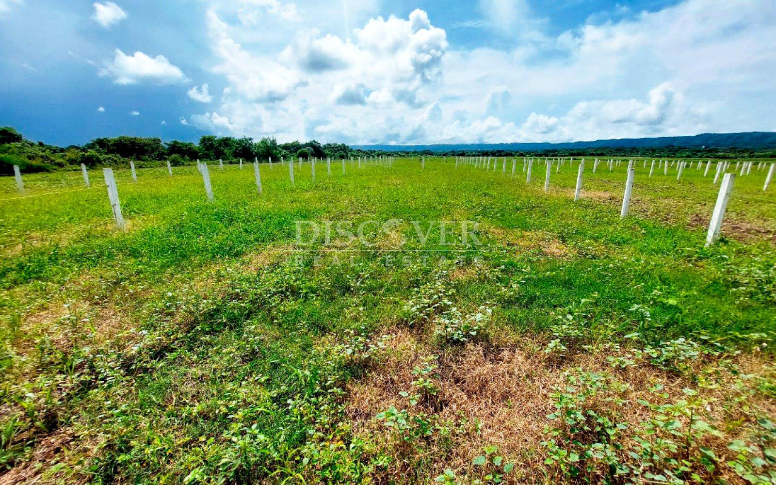 https://images.discovernica.com/propiedad/1600/ID13964_12_.jpg