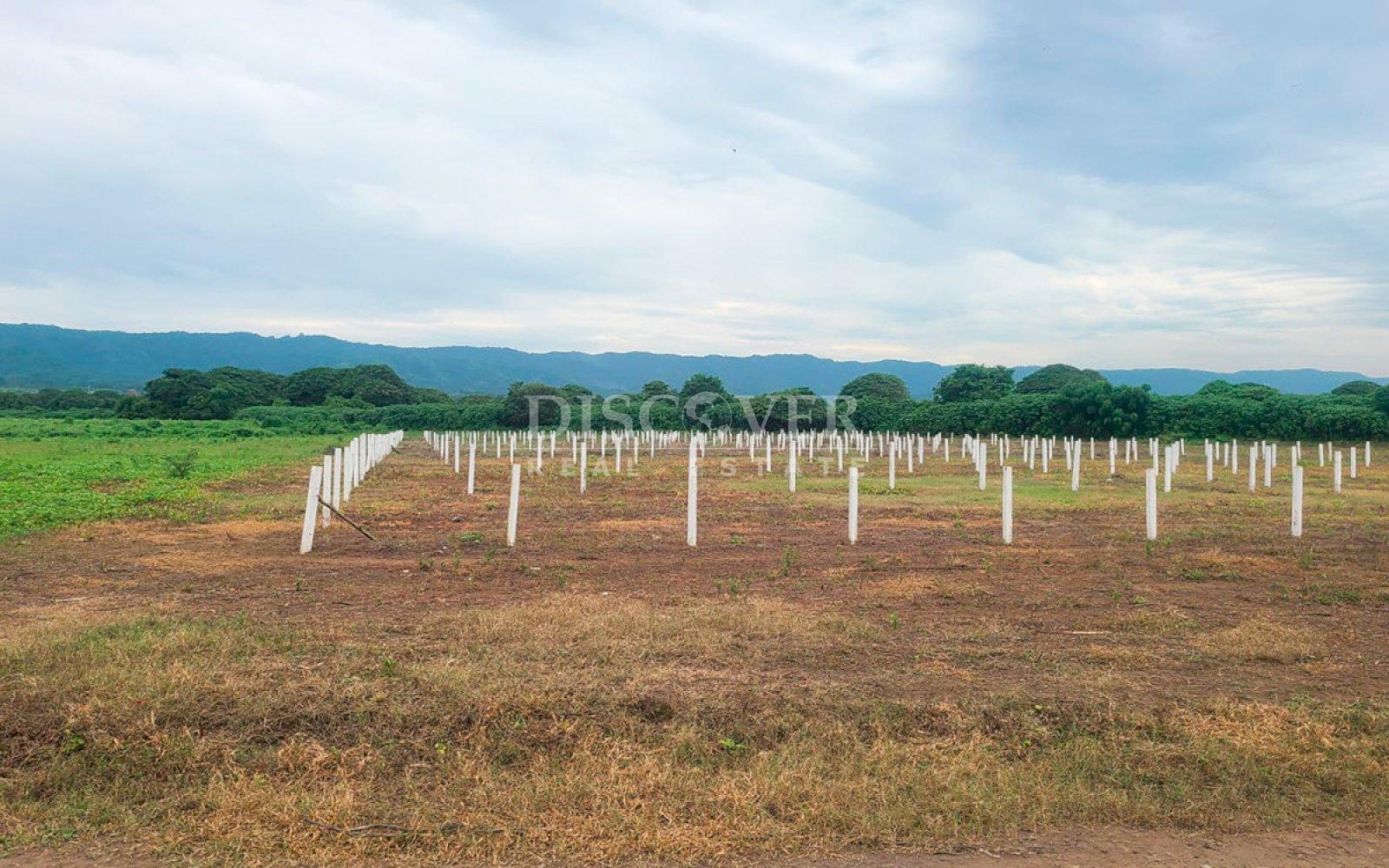 https://images.discovernica.com/propiedad/1600/ID13964_5__1.jpg