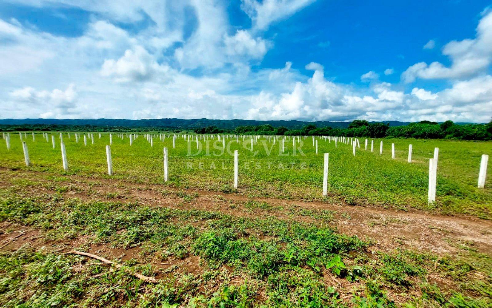 https://images.discovernica.com/propiedad/1600/ID13964_7_.jpg