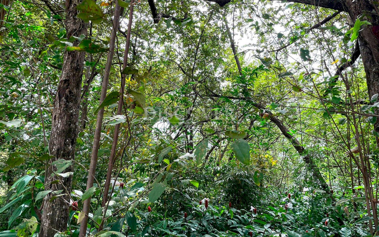  Land for sale in Corn Island