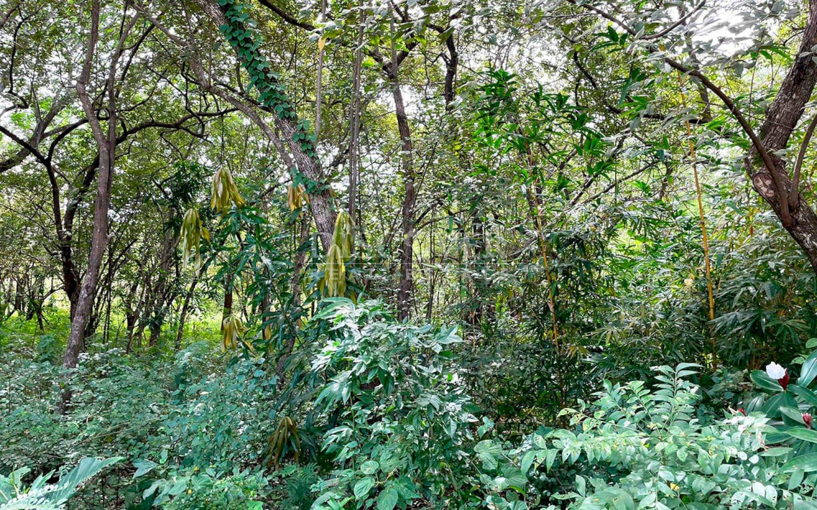  Land for sale in Corn Island