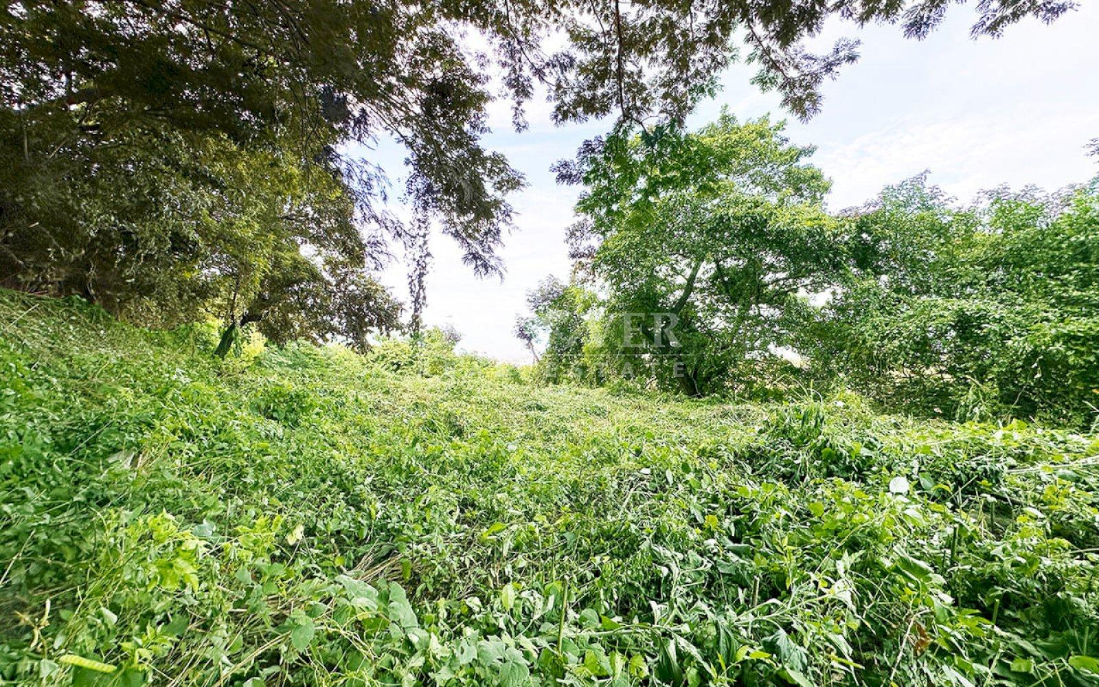  Land for sale with view in Villa Fontana