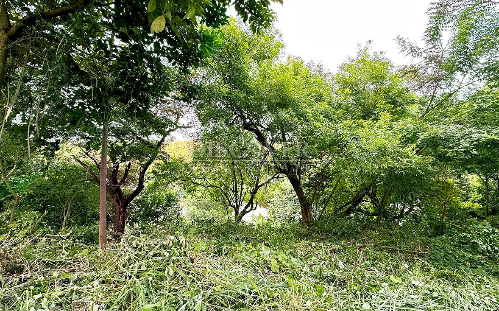  Land for sale with view in Villa Fontana