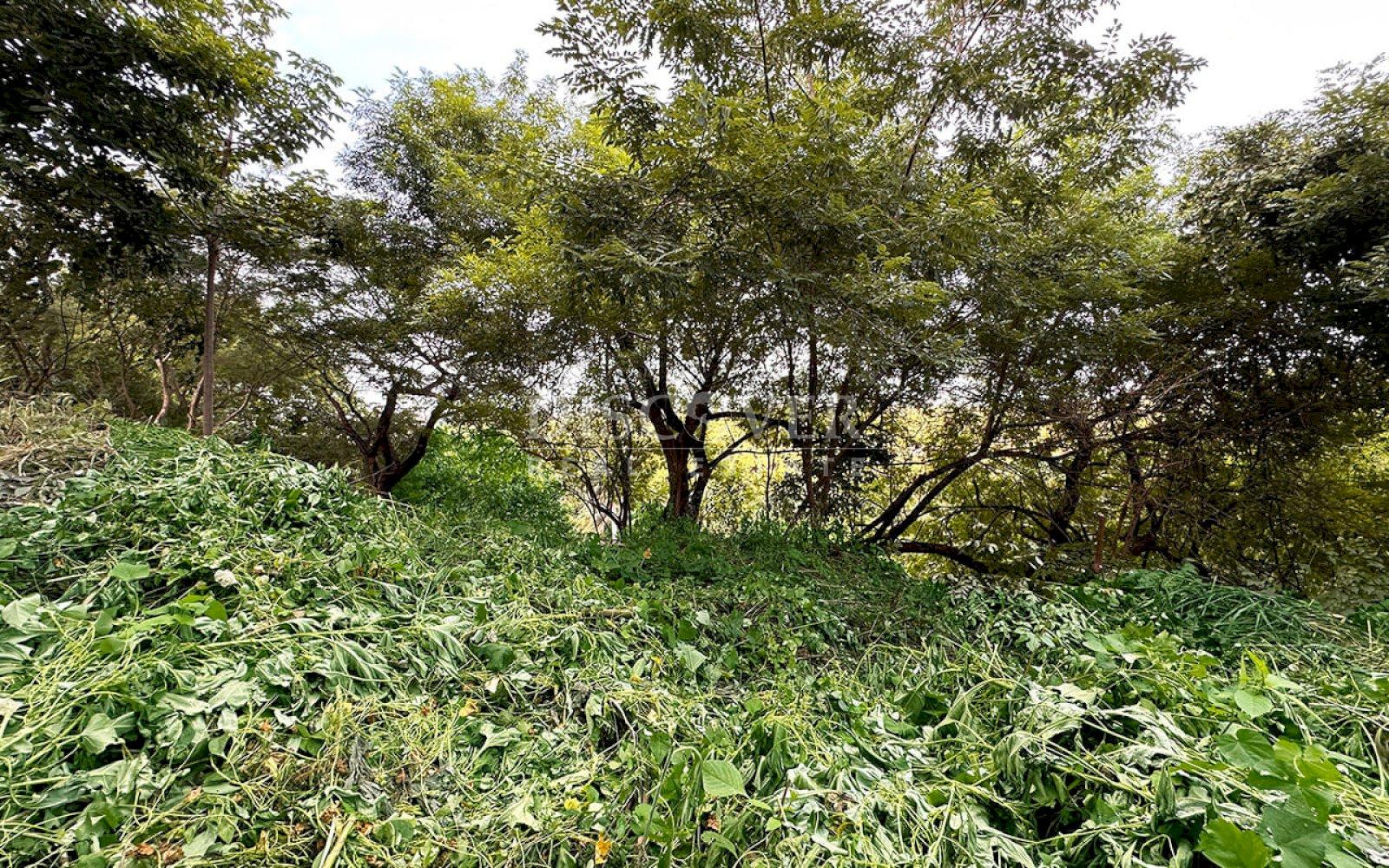  Land for sale with view in Villa Fontana