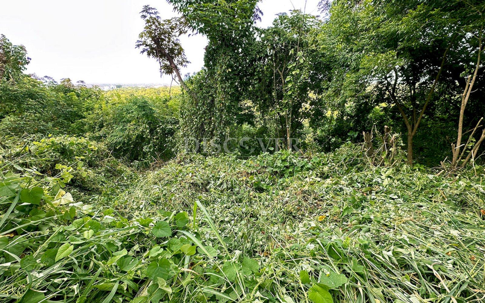  Land for sale with view in Villa Fontana