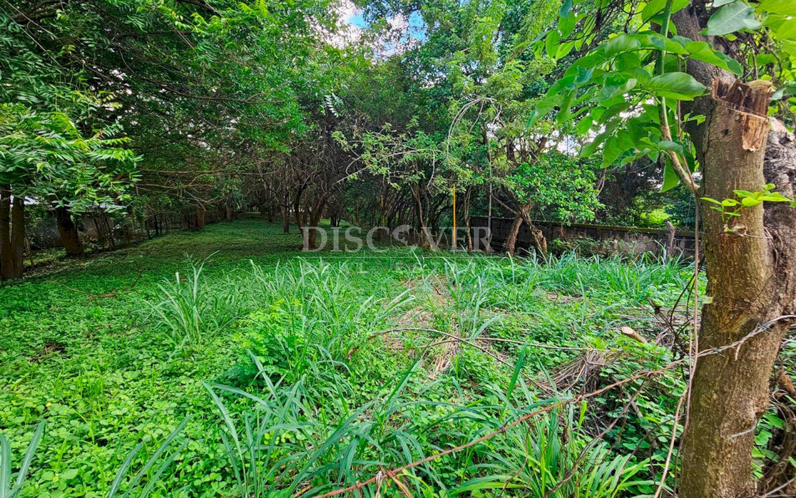  Land for sale in Carretera a Masaya 
