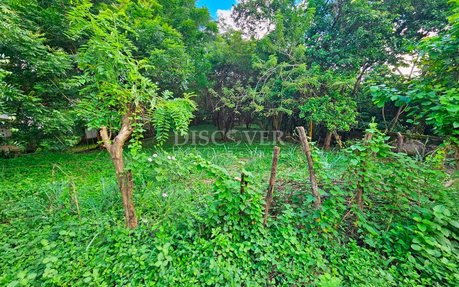  Land for sale in Carretera a Masaya 