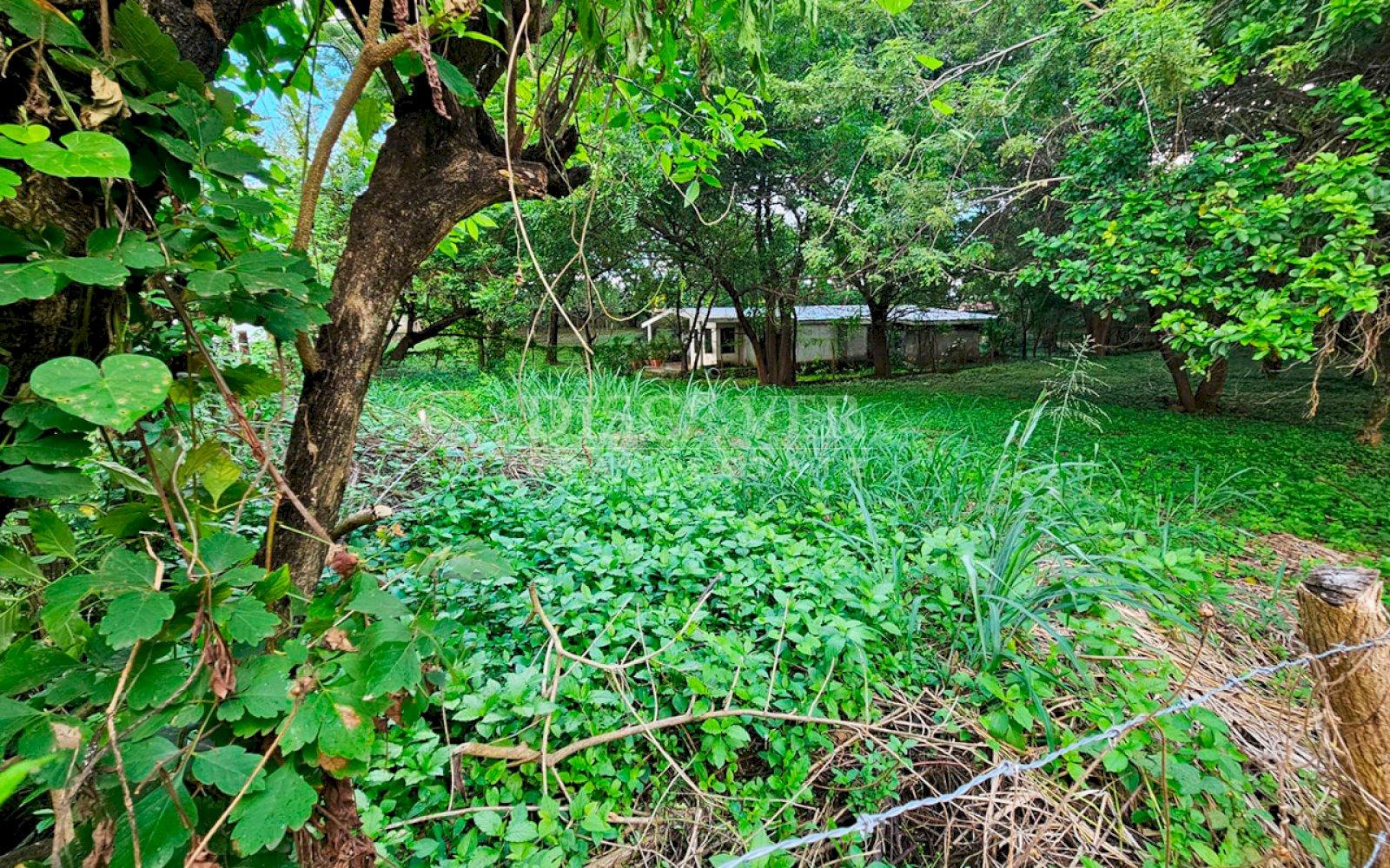  Land for sale in Carretera a Masaya 