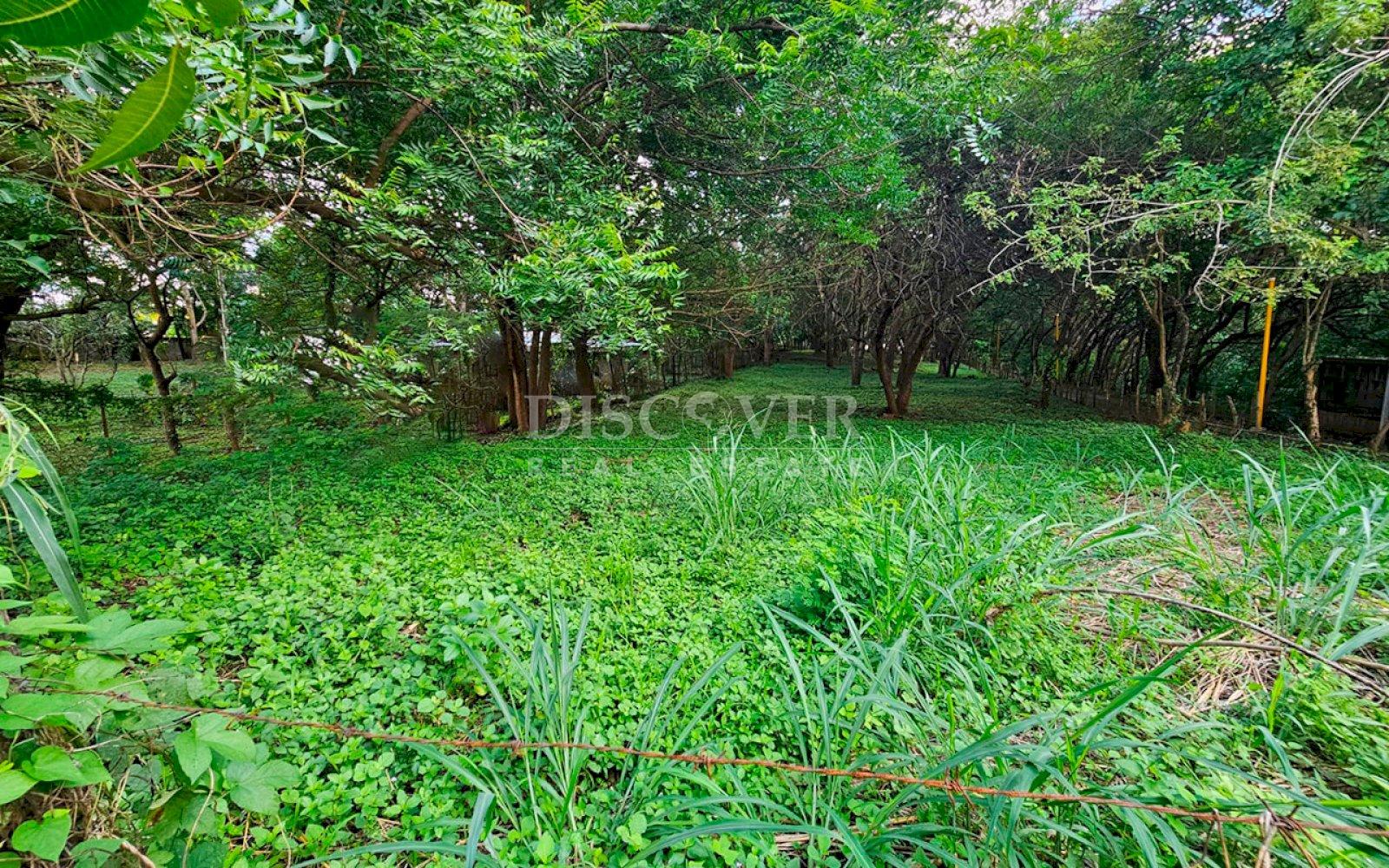  Land for sale in Carretera a Masaya 