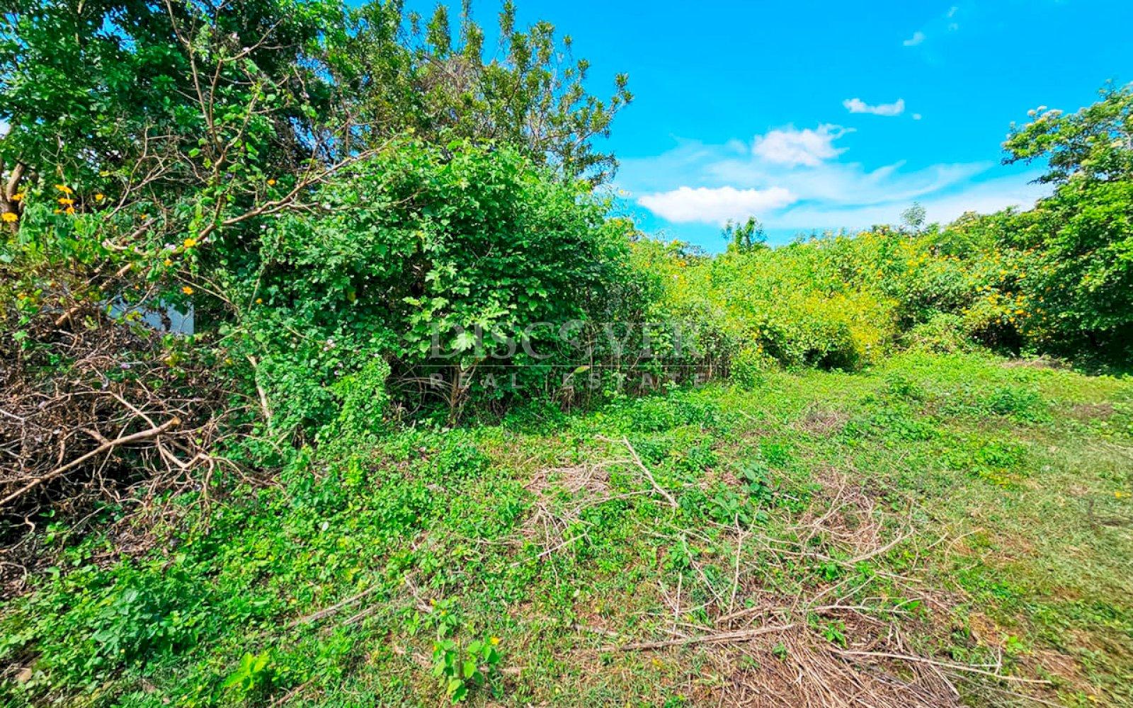 Land for sale in Carretera a Masaya
