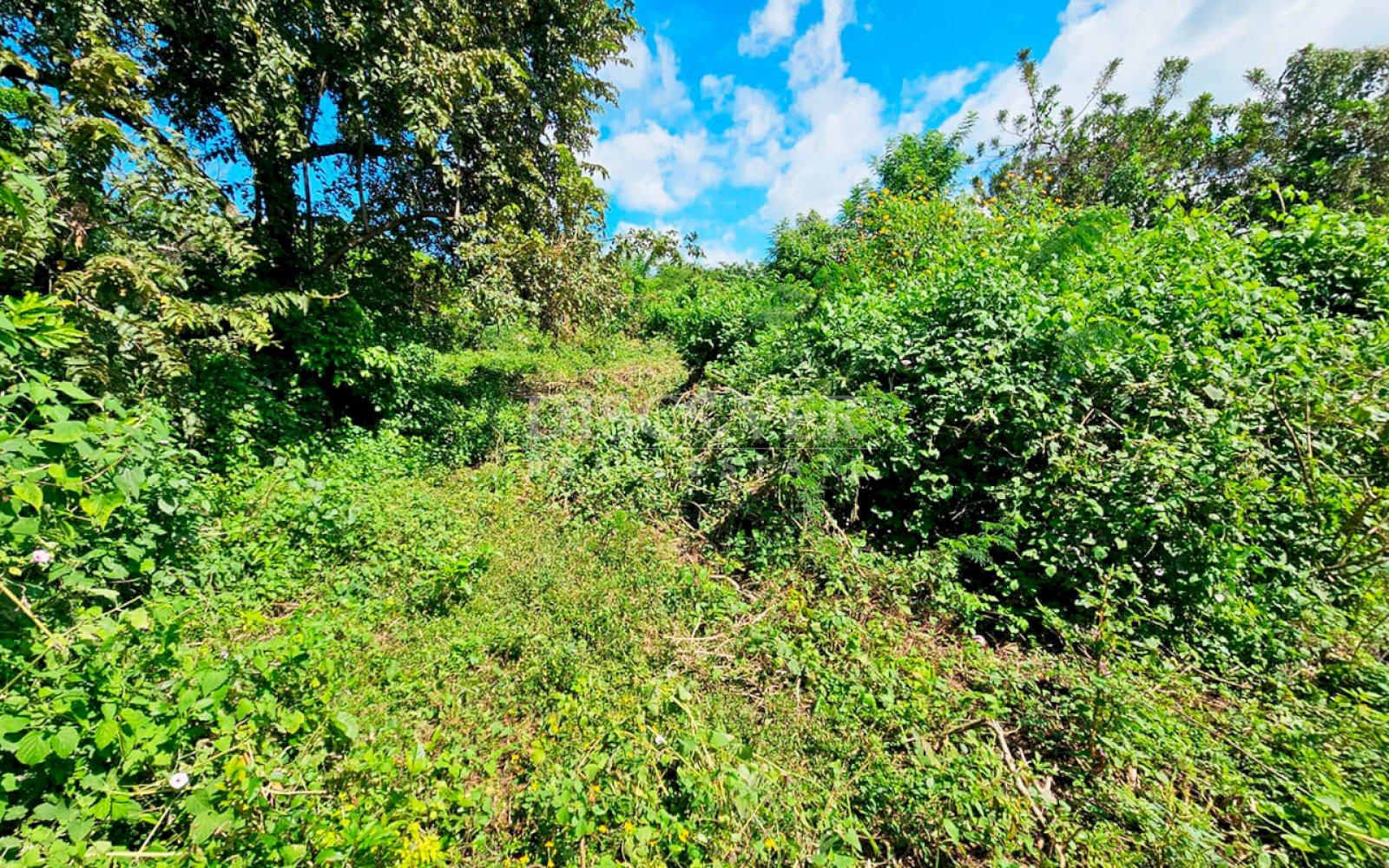  Land for sale in Carretera a Masaya