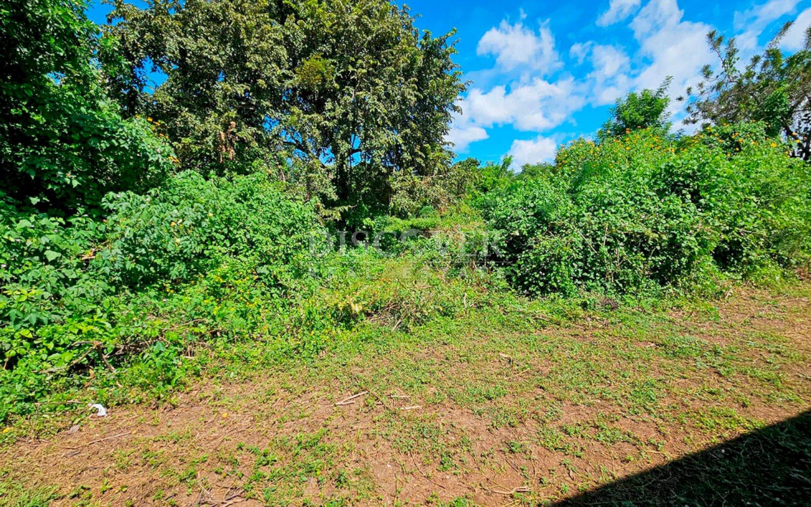  Land for sale in Carretera a Masaya