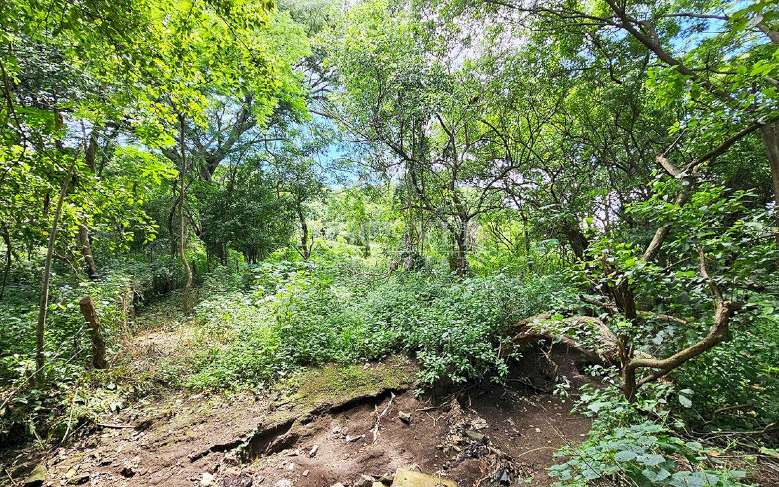  Land in front of main street for sale - Highway to Veracruz 