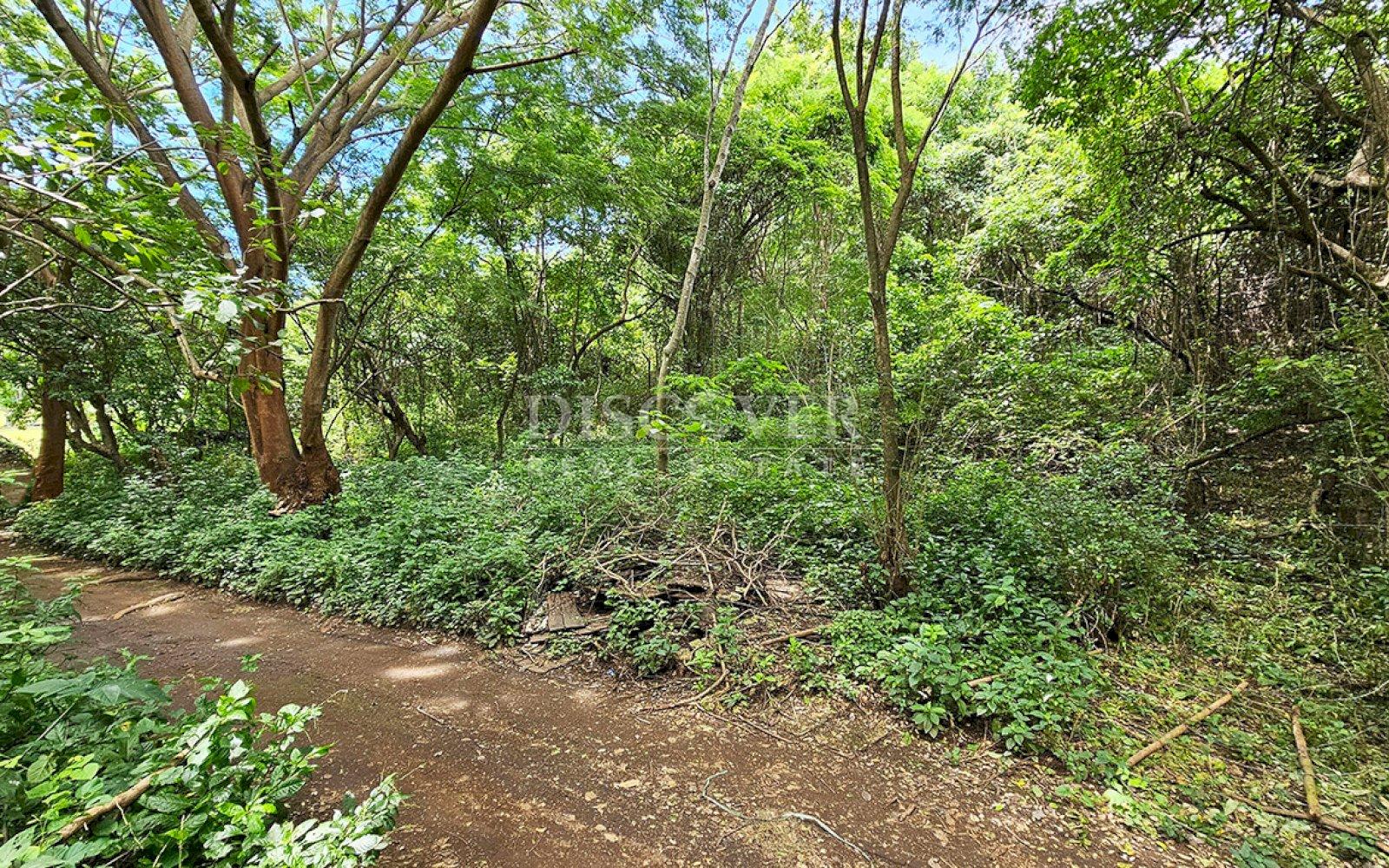  Land in front of main street for sale - Highway to Veracruz 