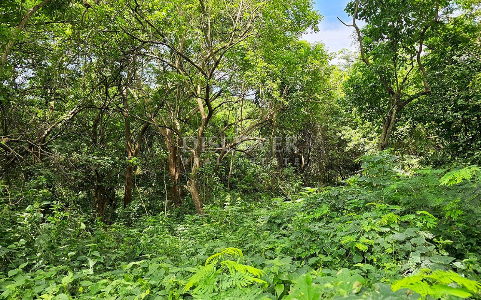  Land in front of main street for sale - Highway to Veracruz 