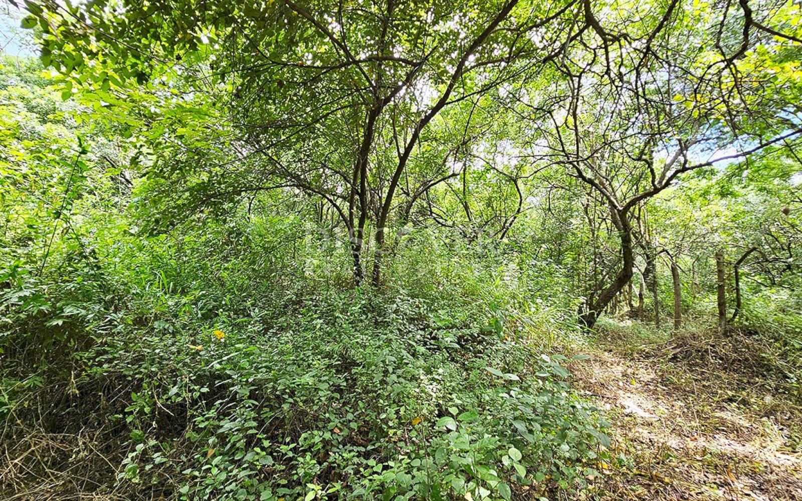  Land in front of main street for sale - Highway to Veracruz 