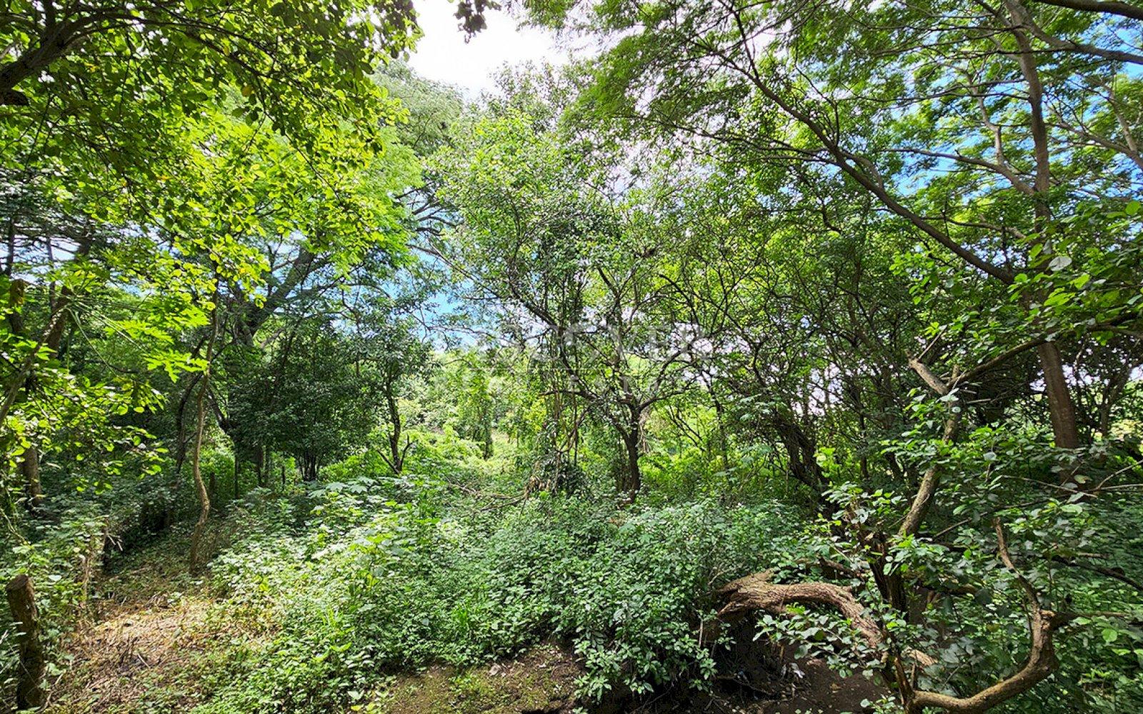  Land in front of main street for sale - Highway to Veracruz 