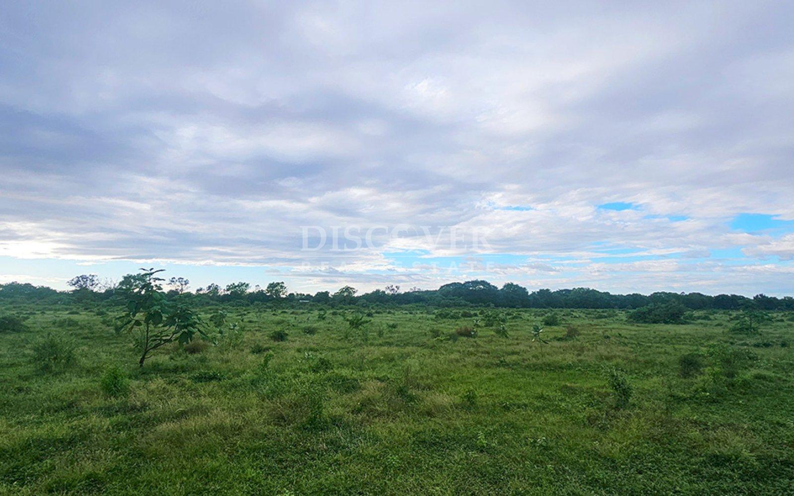  Land for sale in Sabana Grande
