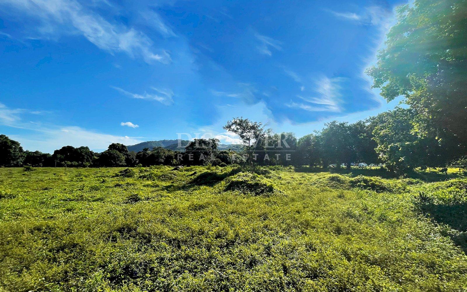 https://images.discovernica.com/propiedad/1600/ID14013_6.jpg