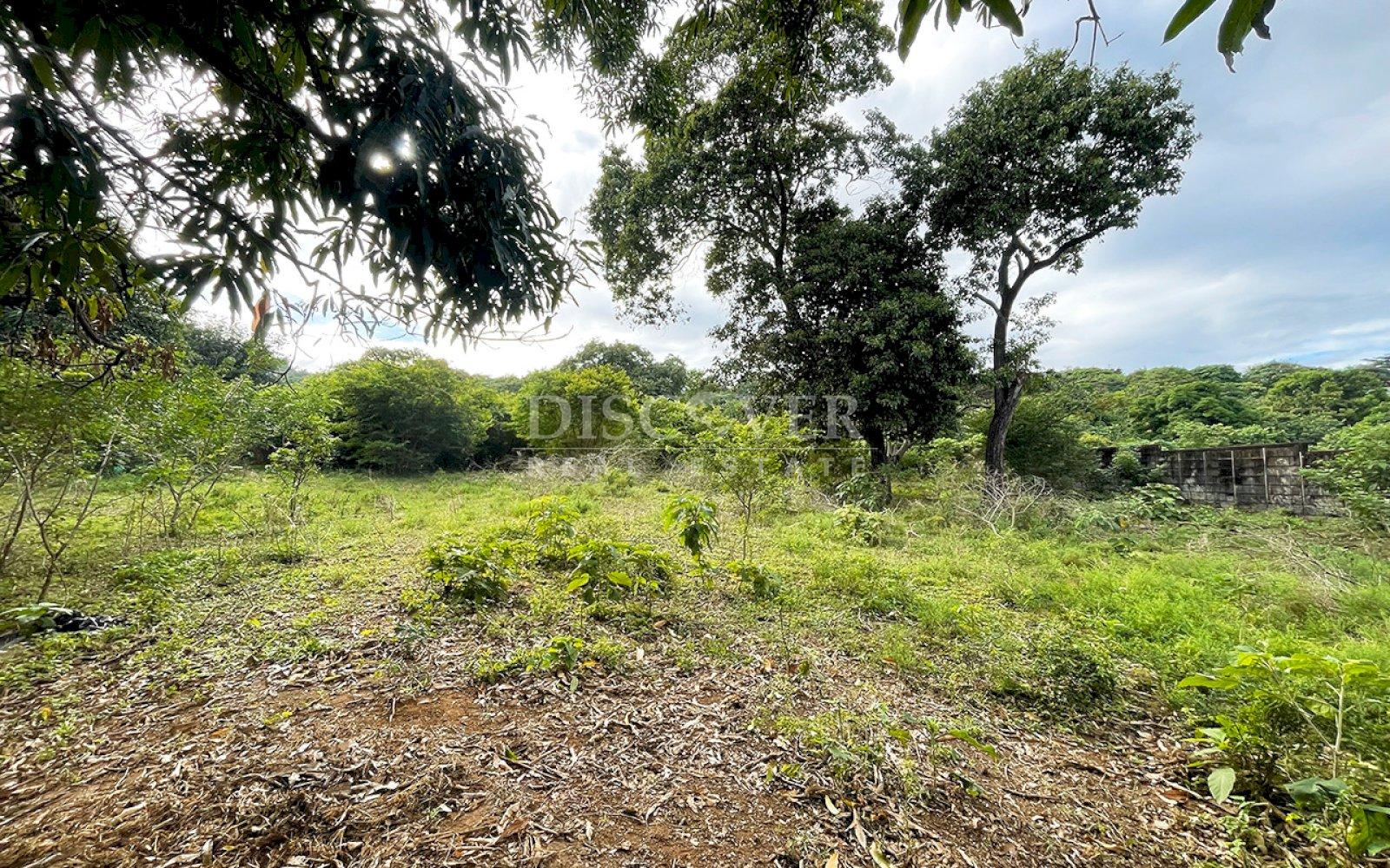  For sale land in San Isidro de la Cruz Verde 