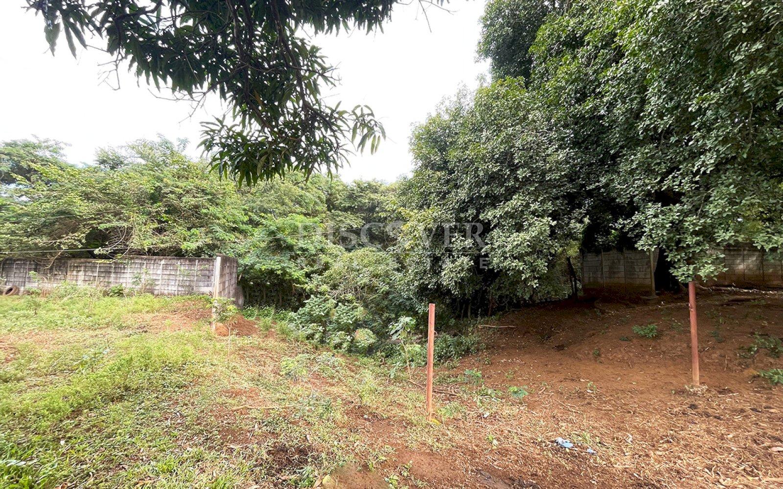  For sale land in San Isidro de la Cruz Verde 