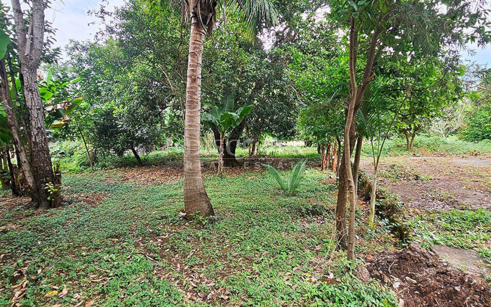  Land in front of the road to Masaya for sale 