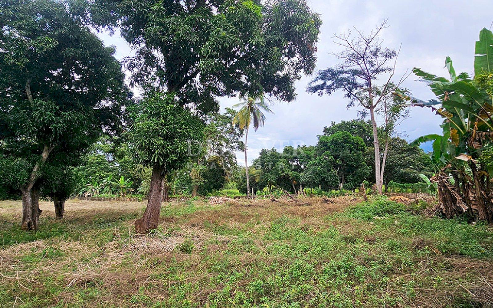  Land in front of the road to Masaya for sale 