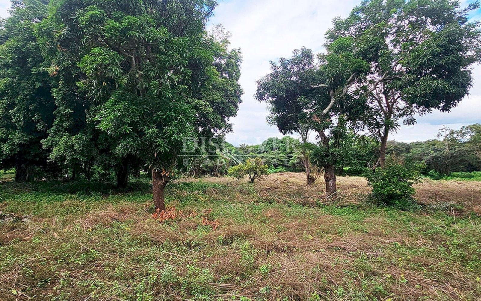  Land in front of the road to Masaya for sale 
