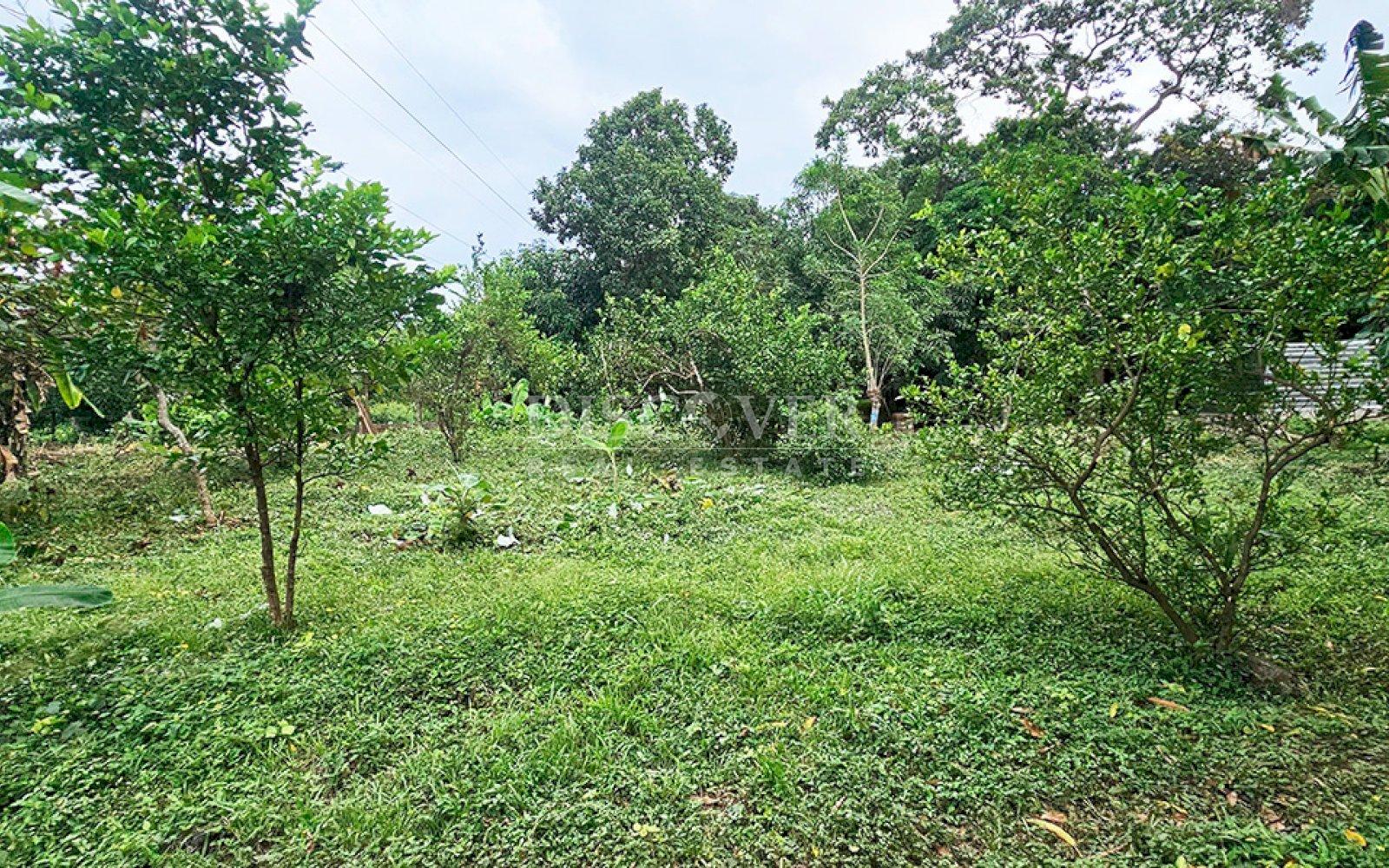  Land in front of the road to Masaya for sale 
