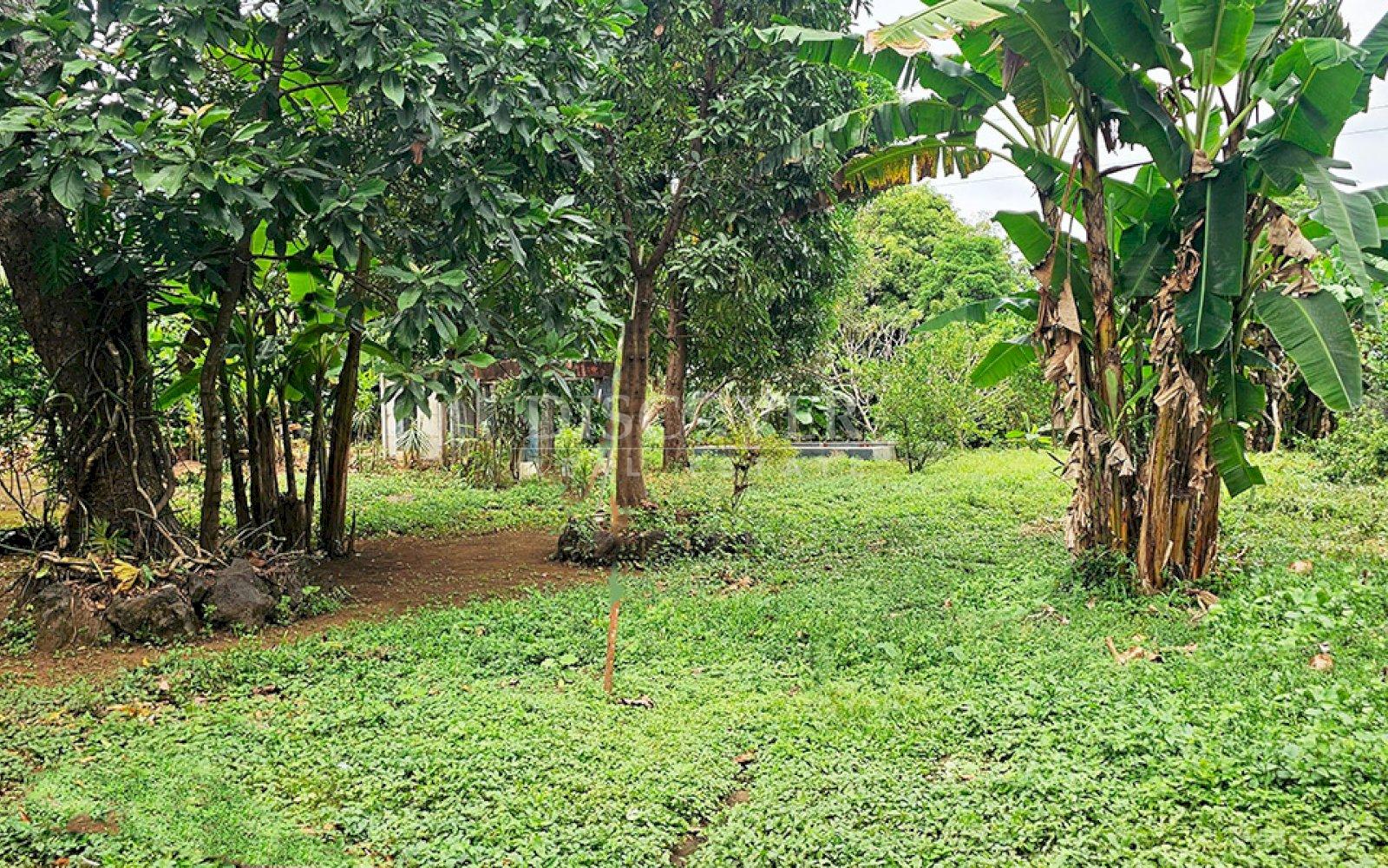  Land in front of the road to Masaya for sale 