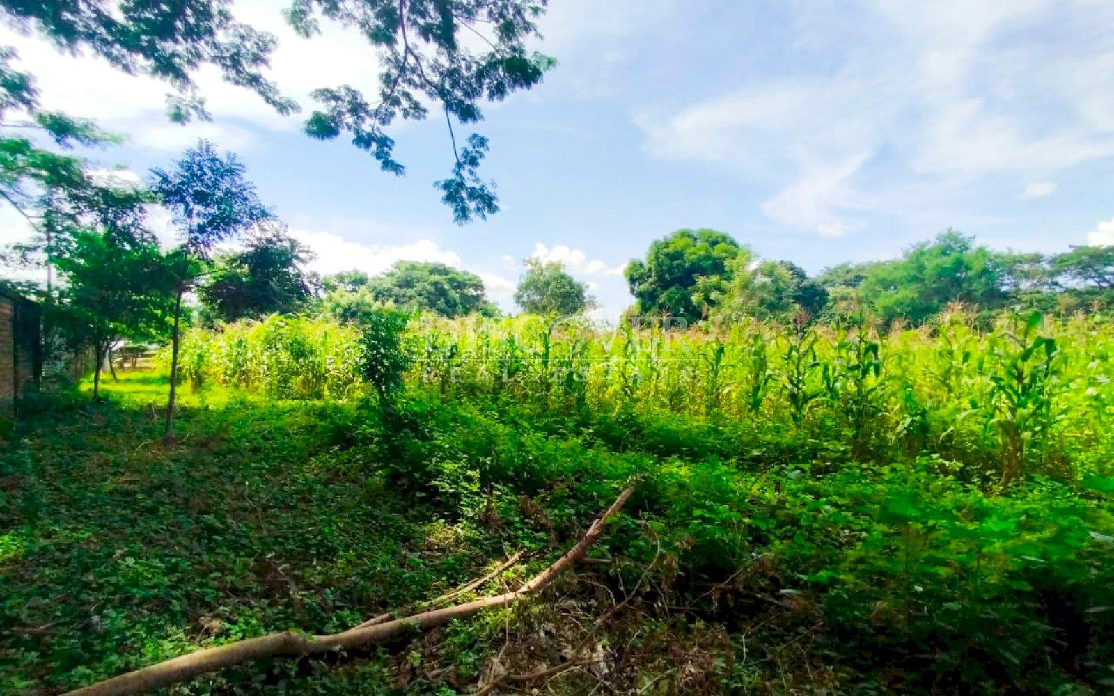  Land for sale in carretera a veracruz 