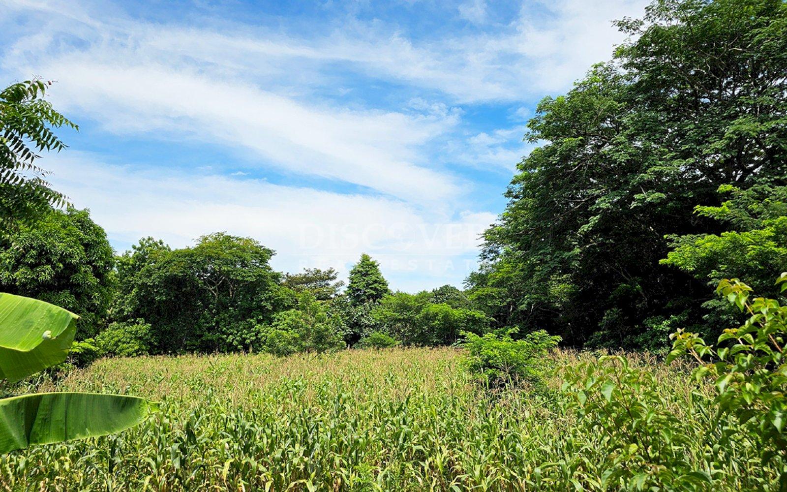  Land for sale in carretera a veracruz 