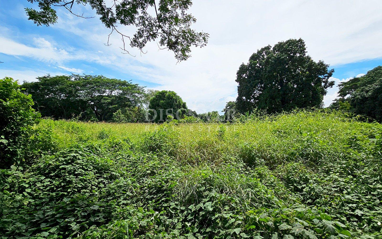  Land for sale in carretera a veracruz 