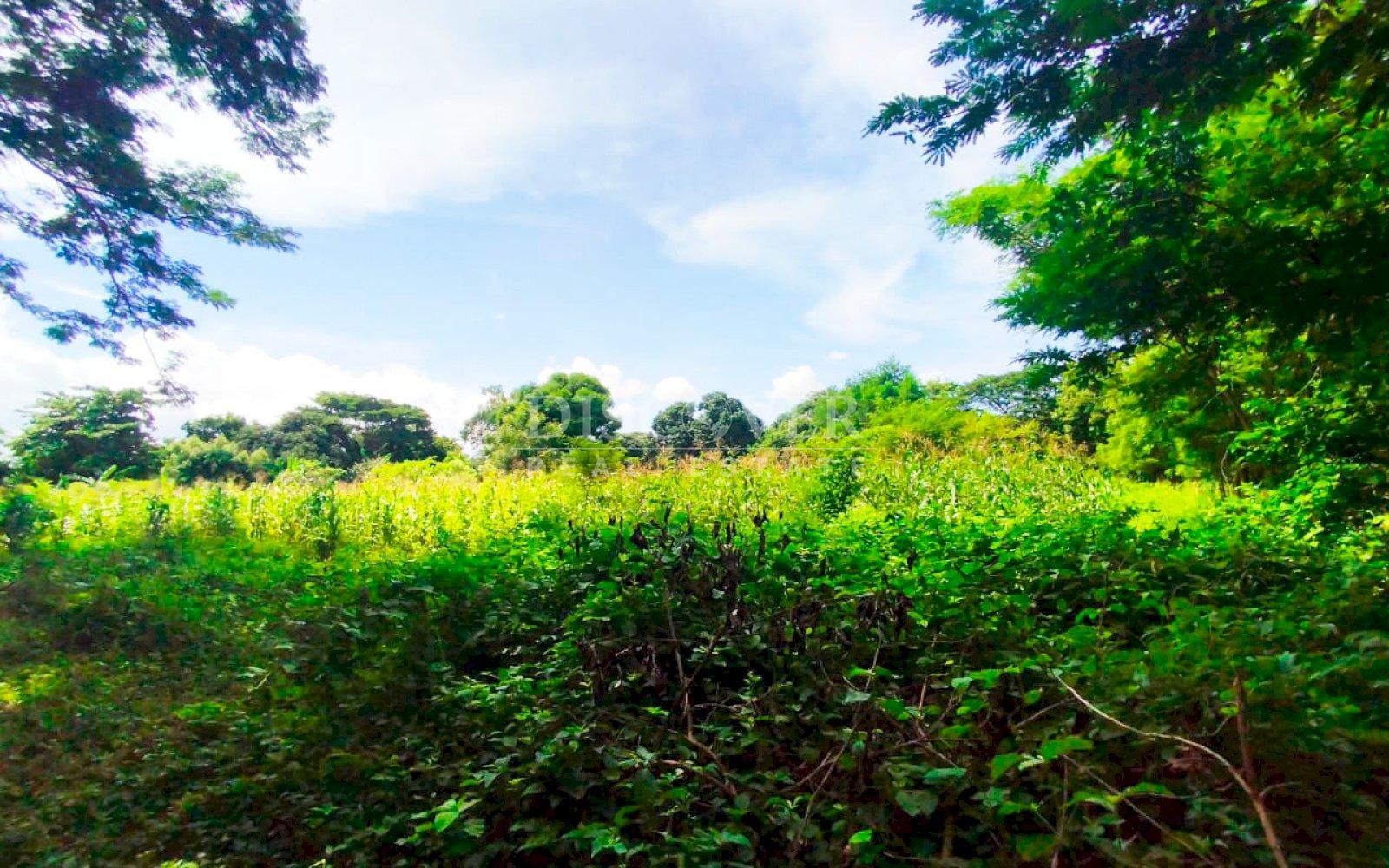  Land for sale in carretera a veracruz 