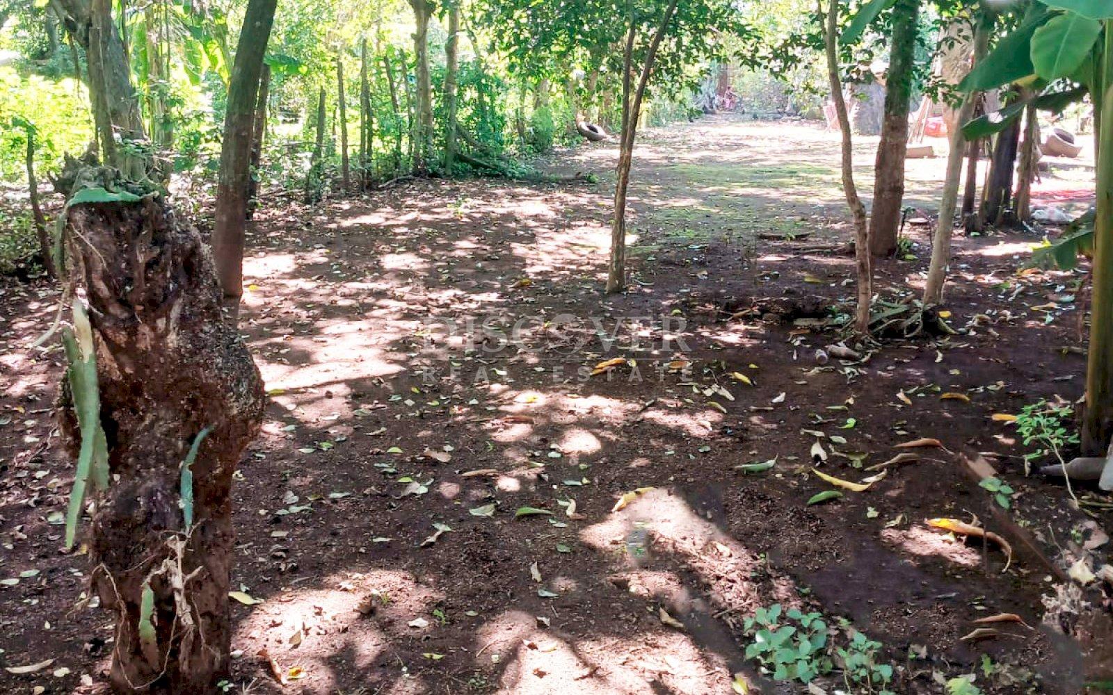 https://images.discovernica.com/propiedad/1600/ID14029_1_.jpg