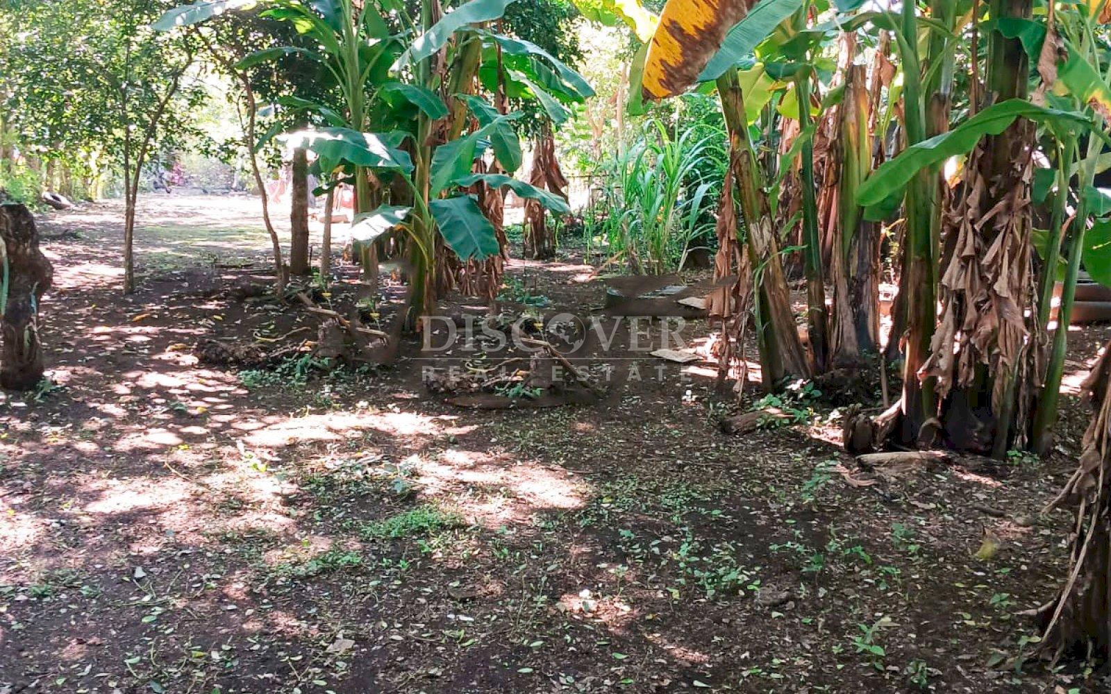 https://images.discovernica.com/propiedad/1600/ID14029_3_.jpg