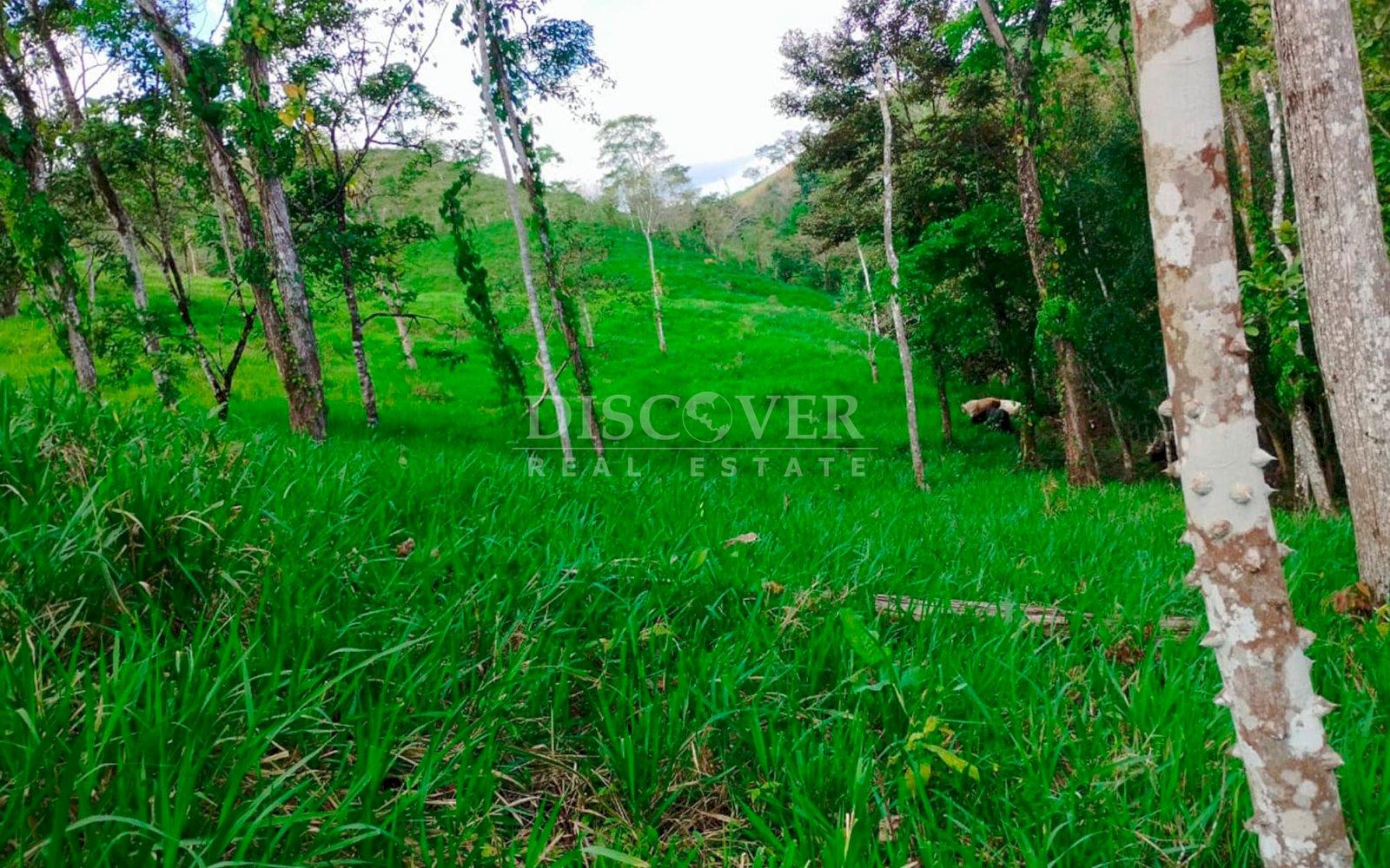 https://images.discovernica.com/propiedad/1600/ID14030.jpg