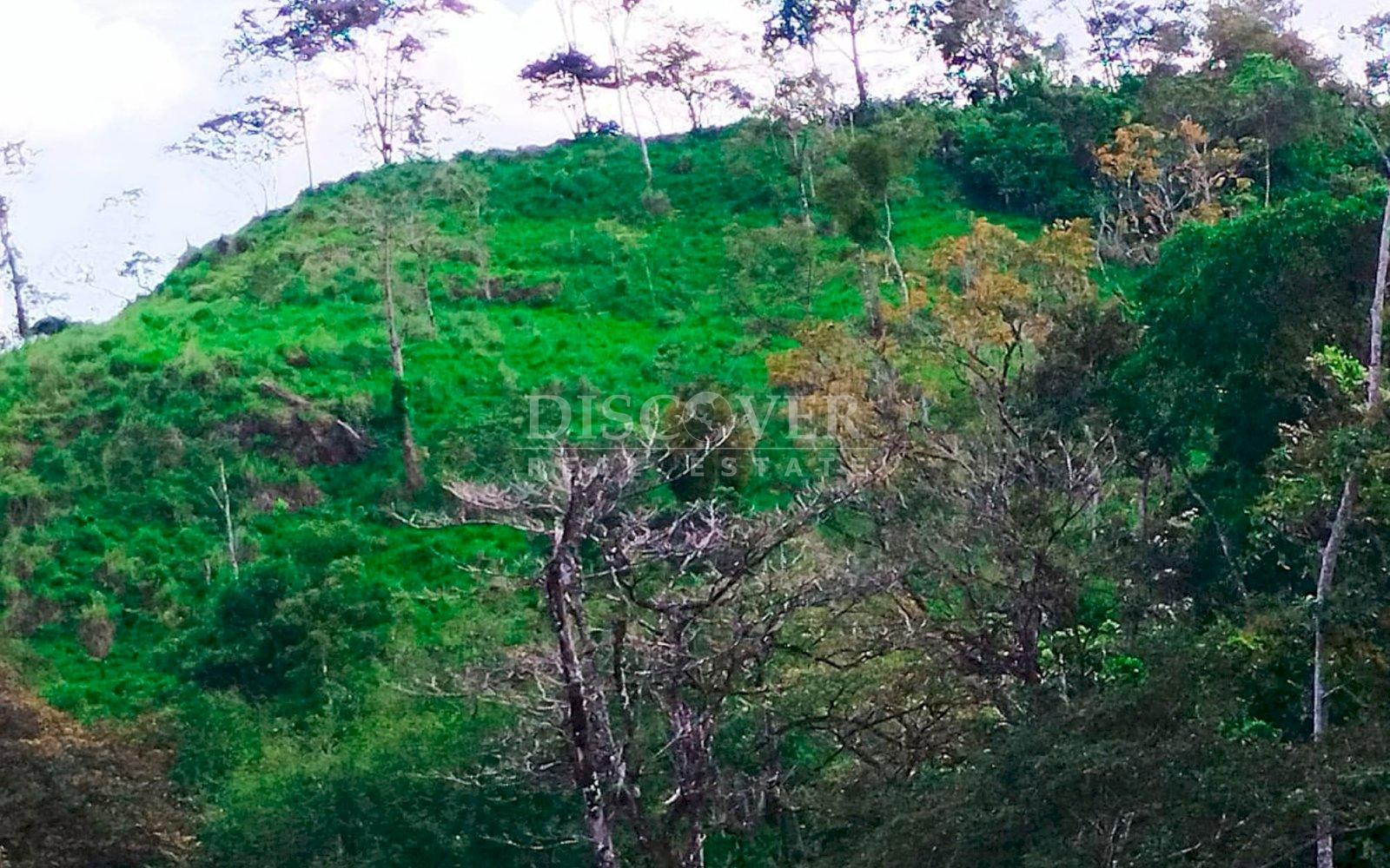 https://images.discovernica.com/propiedad/1600/ID14030_1_1.jpg