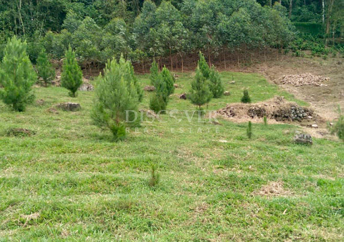  For sale land with panoramic views in Matagalpa