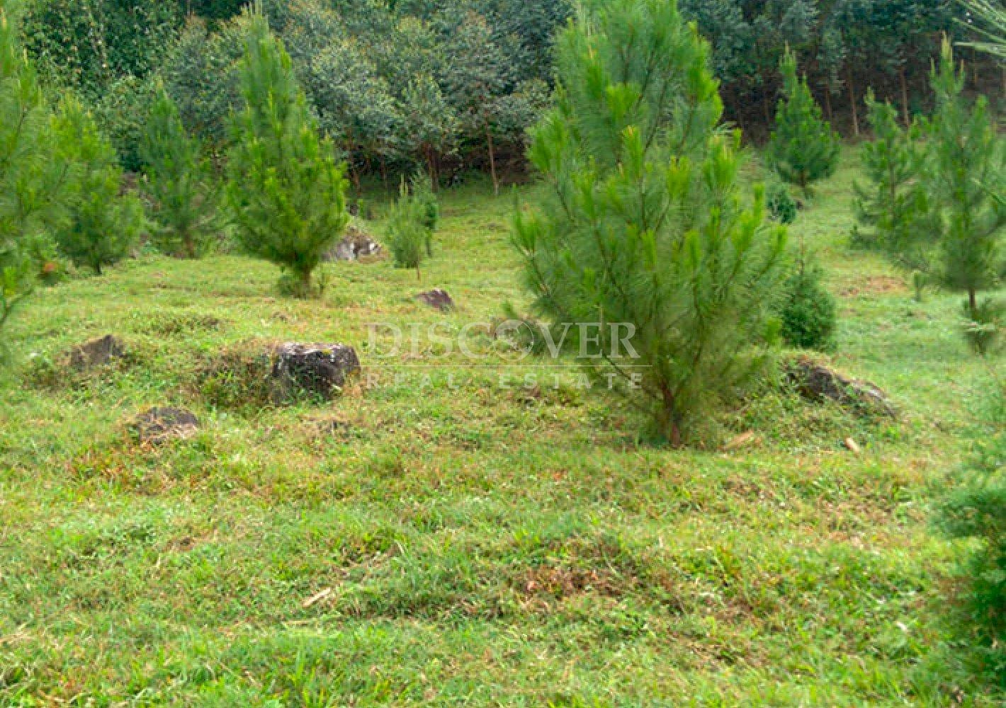  For sale land with panoramic views in Matagalpa