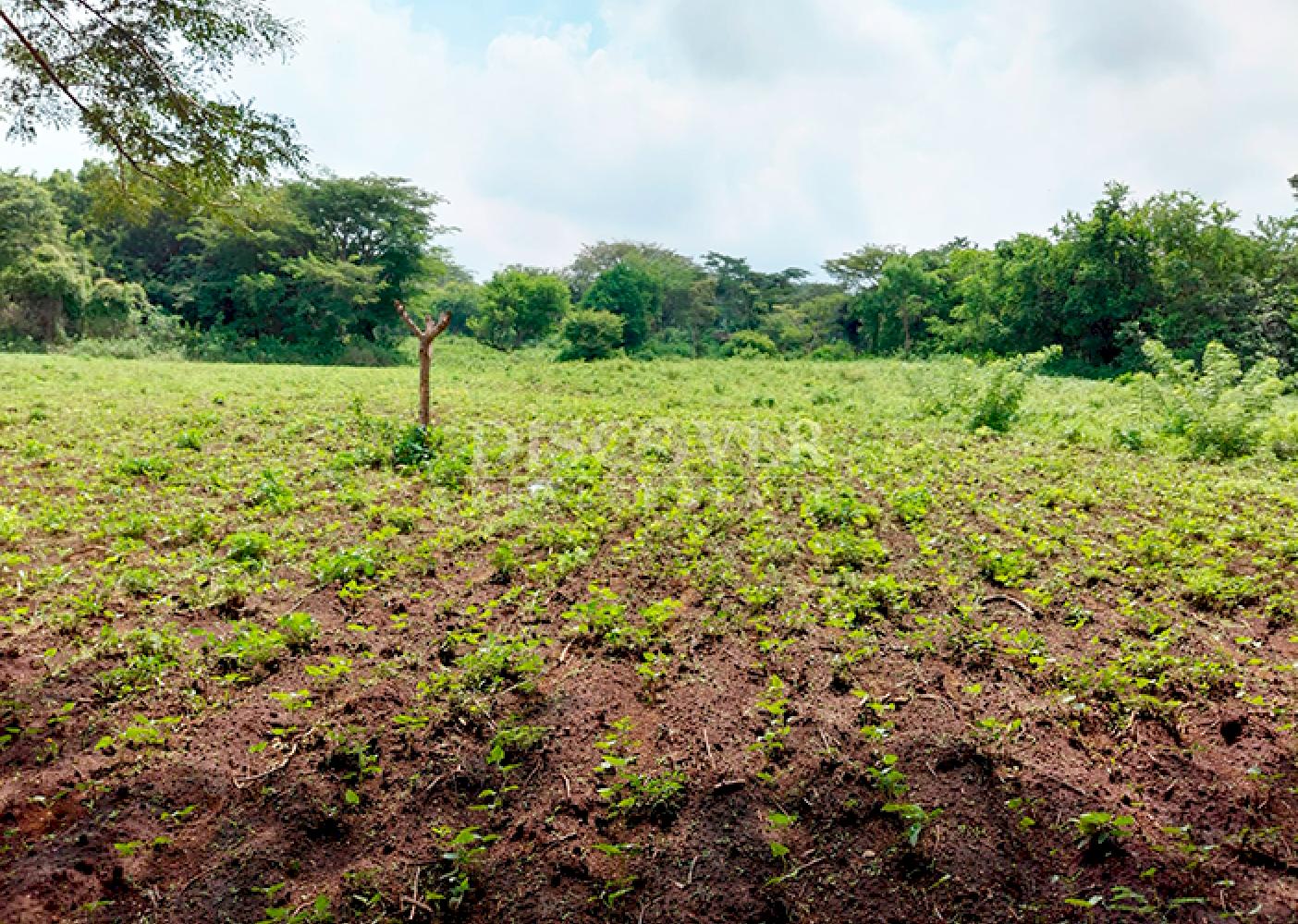 Land for sale on Carretera Sur with multiple access points