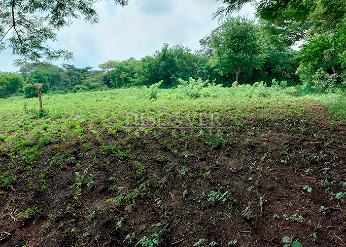 Land for sale on Carretera Sur with multiple access points