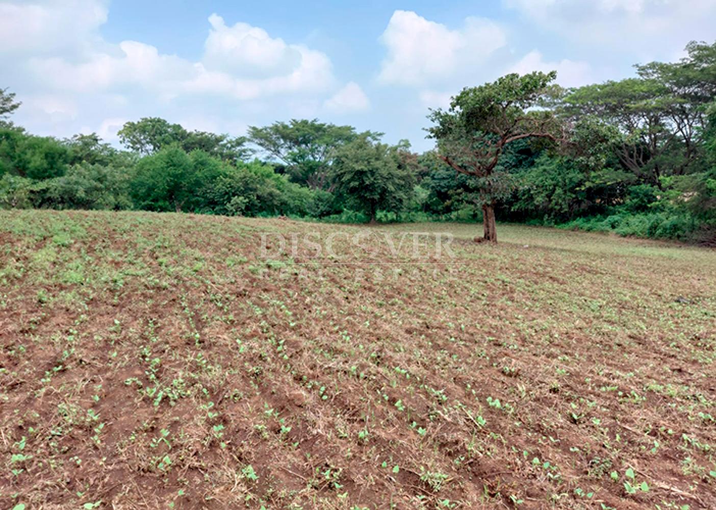 Land for sale on Carretera Sur with multiple access points