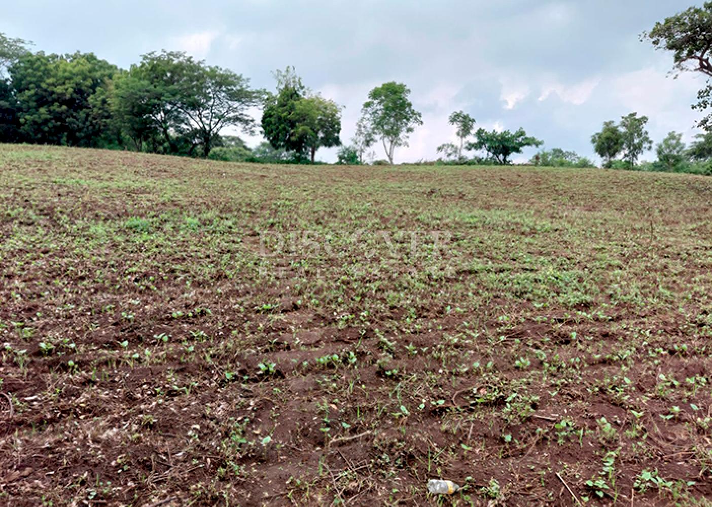 Land for sale on Carretera Sur with multiple access points