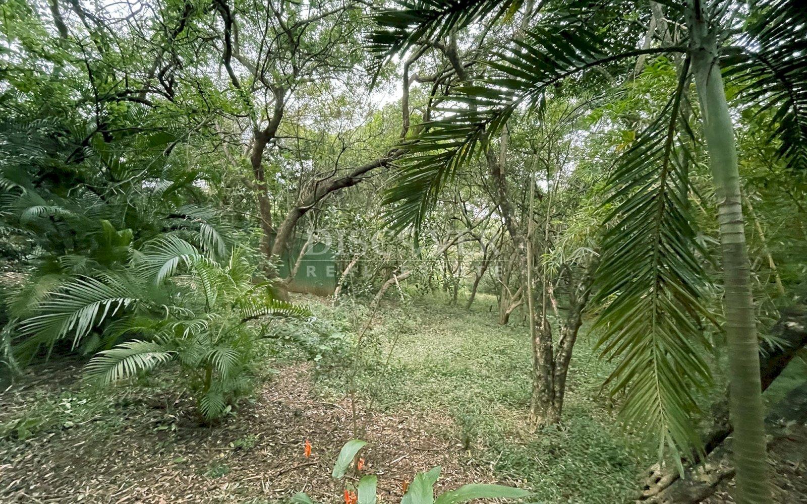  For Sale: Hotel in Granada, Nicaragua – Ideal for Renovation and Redevelopment