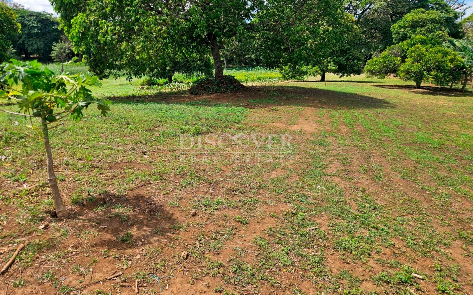 https://images.discovernica.com/propiedad/1600/ID14063.jpg